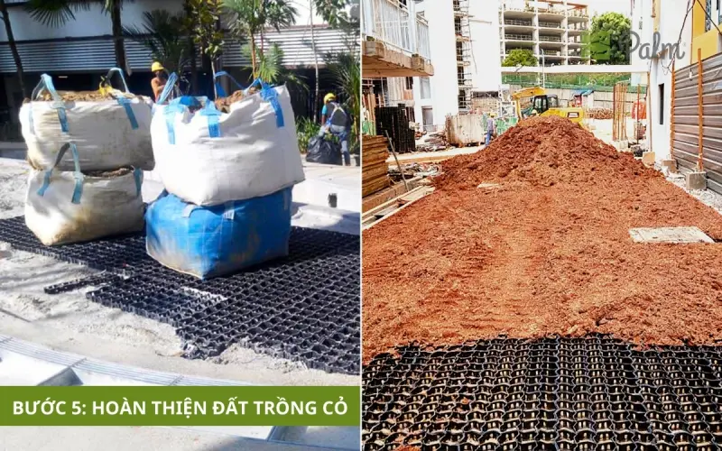 Vỉ Trồng Cỏ Chịu Lực | Tất Tần Tật Về Lợi Ích, Ứng Dụng Và Cách Lắp Đặt